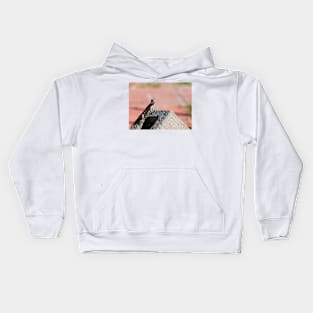 Big Grin Kids Hoodie